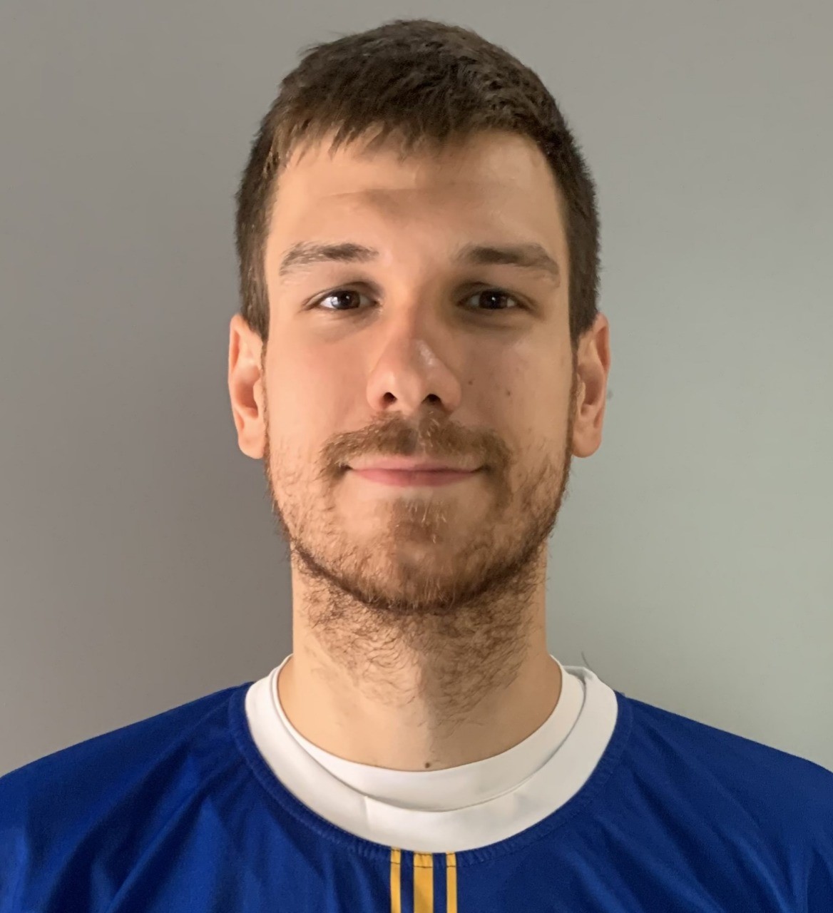 Nikola Nik Koprivica